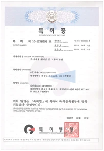 MINDCARE Patents document 2